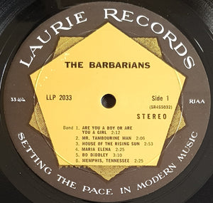 Barbarians - The Barbarians