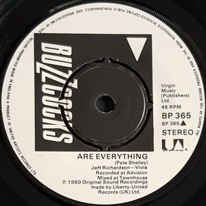Buzzcocks - Are Everything