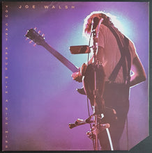 Load image into Gallery viewer, Eagles (Joe Walsh)- You Can&#39;t Argue With A Sick Mind