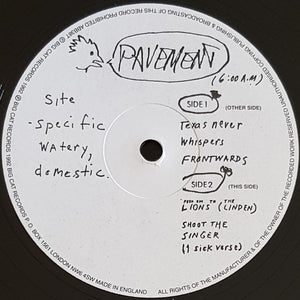 Pavement - Watery, Domestic