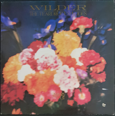 Teardrop Explodes - Wilder