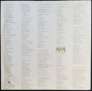 Teardrop Explodes - Wilder