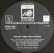 Load image into Gallery viewer, Five Day Week Straw People - The Five Day Week Straw People