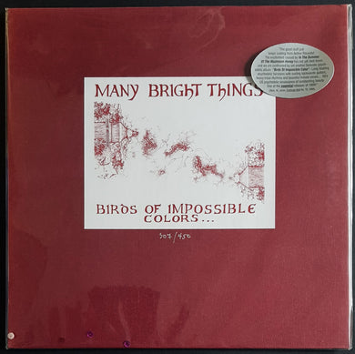 Many Bright Things - Birds Of Impossible Colors (Swim In An Open Sky)