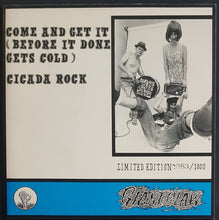 Load image into Gallery viewer, Southern Culture On The Skids - Come And Get It (Before It Done Gets Cold)