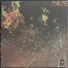 Load image into Gallery viewer, Dillards - Roots and Branches