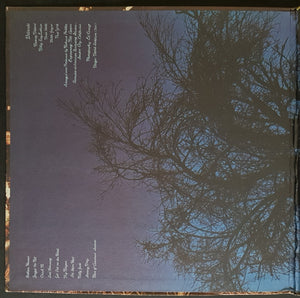 Dillards - Roots and Branches