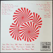 Load image into Gallery viewer, White Stripes - Electronics Have Got The Best Of Me