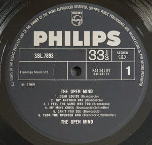 Open Mind - The Open Mind