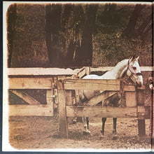 Load image into Gallery viewer, Van Morrison - Tupelo Honey