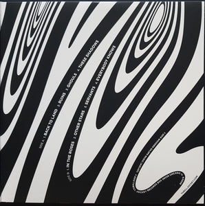 Wooden Shjips - Back To Land