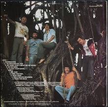 Load image into Gallery viewer, Paterson - Beautiful Alternative