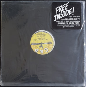 V/A - Doug Orton / Icky Boyfriends / Spudd / Mood Swing