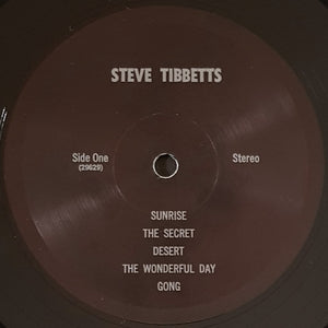 Steve Tibbetts - Steve Tibbetts