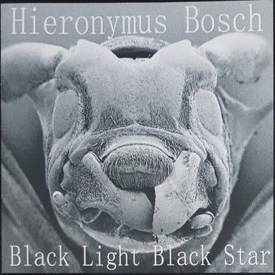 Hieronymus Bosch - Black Light