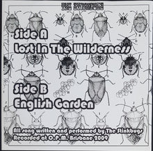 Load image into Gallery viewer, Stinkbugs - Lost In The Wilderness - Clear Vinyl