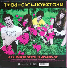 Load image into Gallery viewer, Tropical Fuck Storm - A Laughing Death In Meatspace - Blue Vinyl