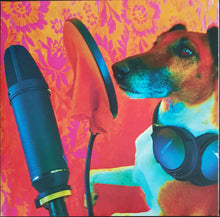 Load image into Gallery viewer, Tropical Fuck Storm - A Laughing Death In Meatspace - Blue Vinyl