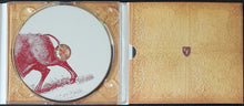 Load image into Gallery viewer, Foo Fighters - In Your Honor