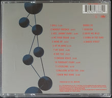 Load image into Gallery viewer, Foo Fighters - The Colour And The Shape