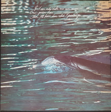 Load image into Gallery viewer, Olivia Newton-John - Physical