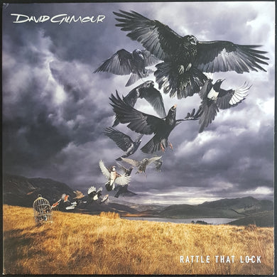 Pink Floyd (David Gilmour)- Rattle That Lock