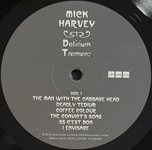 Load image into Gallery viewer, Harvey, Mick- Delirium Tremens