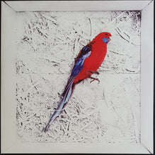 Load image into Gallery viewer, Cummings, Grace - Storm Queen - Crimson Red Vinyl