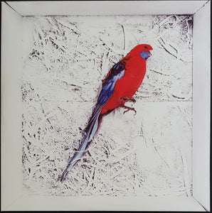 Cummings, Grace - Storm Queen - Crimson Red Vinyl