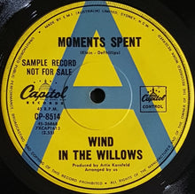 Load image into Gallery viewer, Wind In The Willows - Blondie- Moments Spent