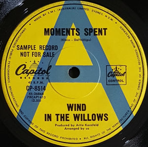 Wind In The Willows - Blondie- Moments Spent