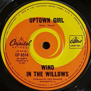 Wind In The Willows - Blondie- Moments Spent