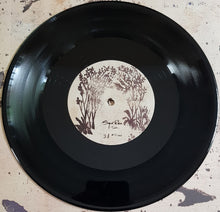 Load image into Gallery viewer, Sigur Ros - Takk