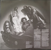 Load image into Gallery viewer, Bad Brains - Rise