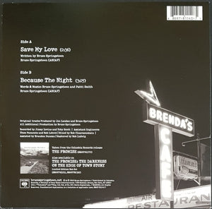 Bruce Springsteen - Save My Love