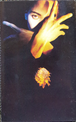 Terence Trent D'Arby - Terence Trent D'Arby's Neither Fish Nor Flesh: