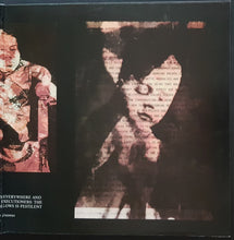 Load image into Gallery viewer, Scorn - Vae Solis