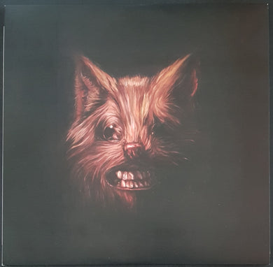 Swans - The Seer