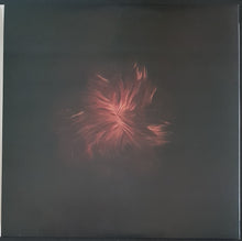 Load image into Gallery viewer, Swans - The Seer