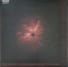 Load image into Gallery viewer, Swans - The Seer