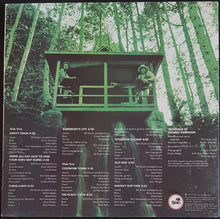 Load image into Gallery viewer, Splinter - The Place I Love