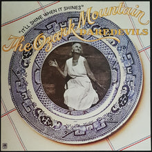 Load image into Gallery viewer, Ozark Mountain Daredevils - It&#39;ll Shine When It Shines