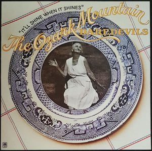 Ozark Mountain Daredevils - It'll Shine When It Shines