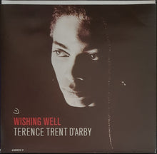 Load image into Gallery viewer, Terence Trent D'Arby - Wishing Well