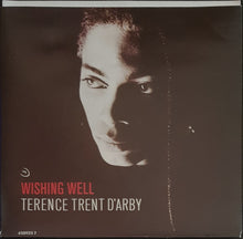 Load image into Gallery viewer, Terence Trent D&#39;Arby - Wishing Well