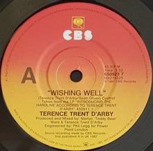 Load image into Gallery viewer, Terence Trent D'Arby - Wishing Well