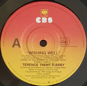 Terence Trent D'Arby - Wishing Well