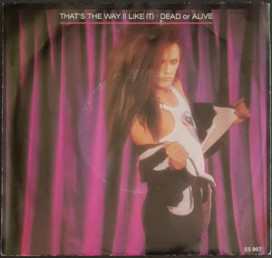 Dead Or Alive - That's The Way (I Like It)