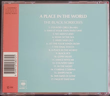 Load image into Gallery viewer, Black Sorrows - A Place In The World