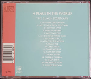 Black Sorrows - A Place In The World